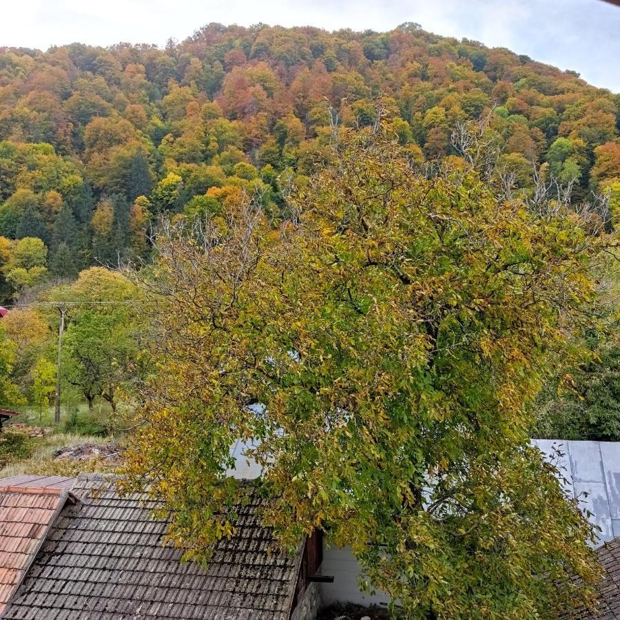Hotel Zori De Zi Bran  Esterno foto